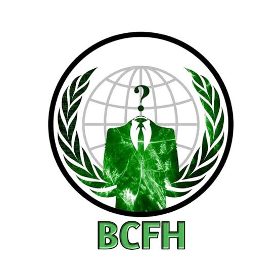 Black Cyber Force Hacker - BCFH.jpeg