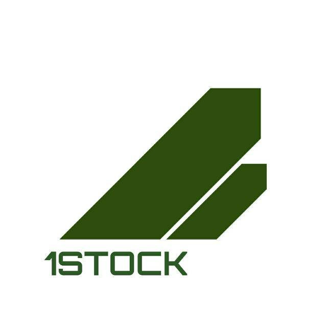 1Stock logo.jpg