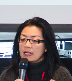 Anita Lee in 2017